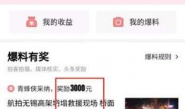 荔浦头条最新爆料,重大事件背后真相揭晓！